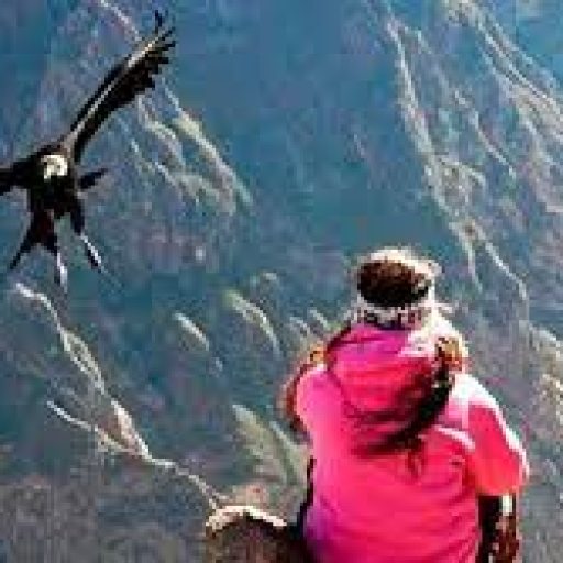 Chonta Mirador de Cóndores (1)